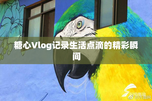 糖心Vlog记录生活点滴的精彩瞬间