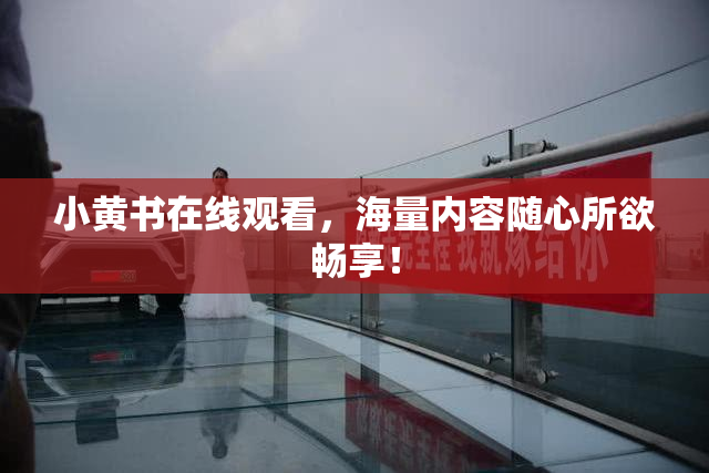 小黄书在线观看，海量内容随心所欲畅享！