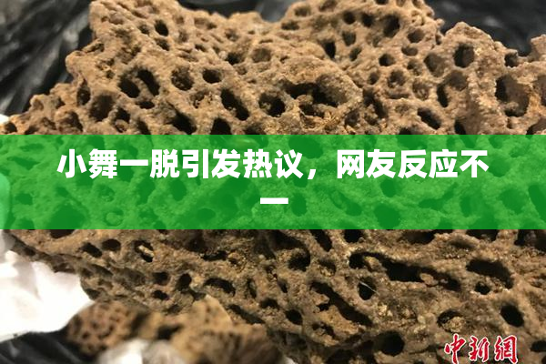 小舞一脱引发热议，网友反应不一