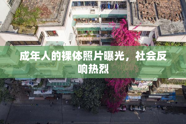 成年人的裸体照片曝光，社会反响热烈