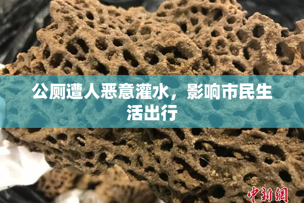 公厕遭人恶意灌水，影响市民生活出行