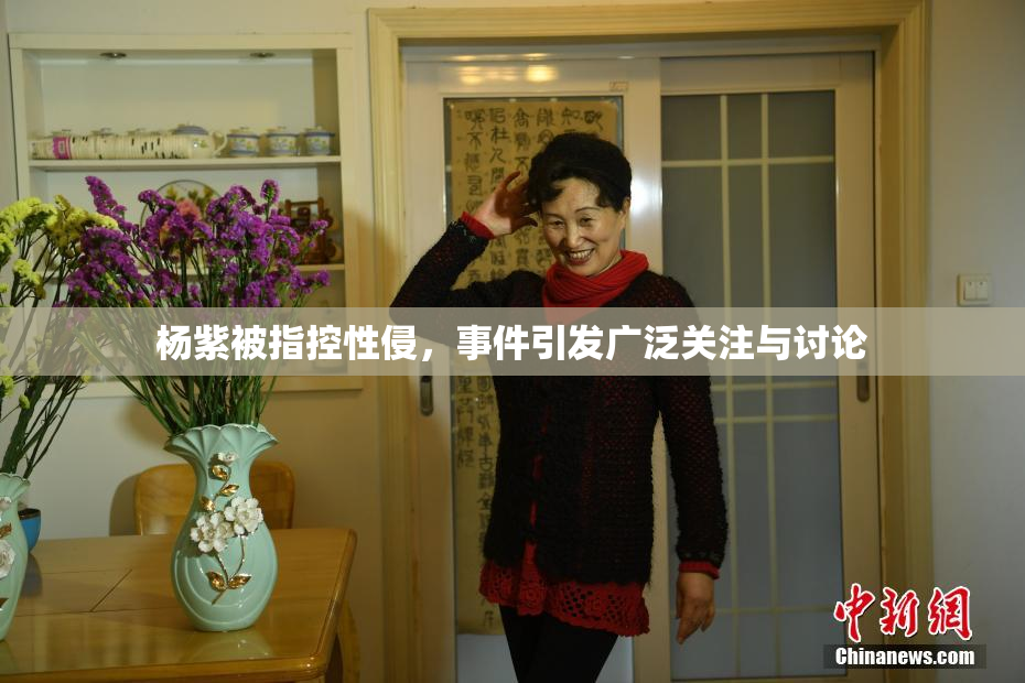 杨紫被指控性侵，事件引发广泛关注与讨论