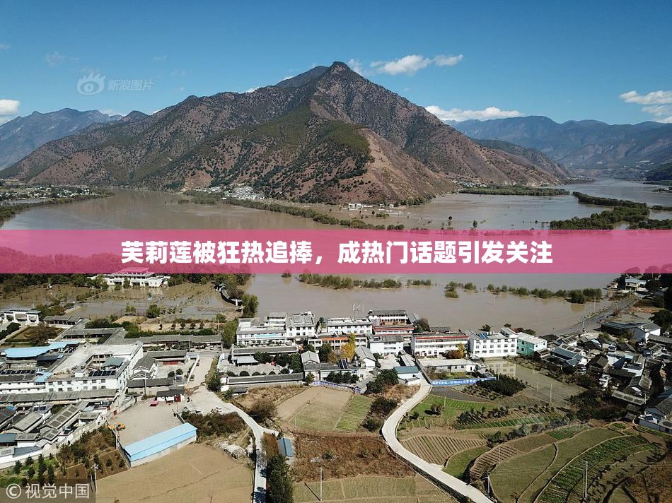 芙莉莲被狂热追捧，成热门话题引发关注