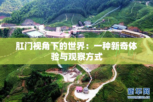 肛门视角下的世界：一种新奇体验与观察方式