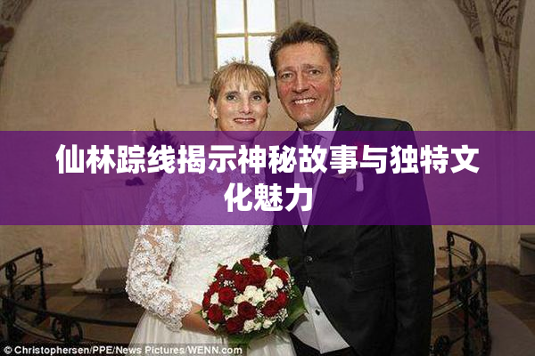 仙林踪线揭示神秘故事与独特文化魅力