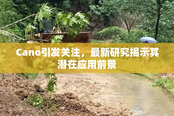 Cano引发关注，最新研究揭示其潜在应用前景