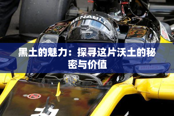 黑土的魅力：探寻这片沃土的秘密与价值