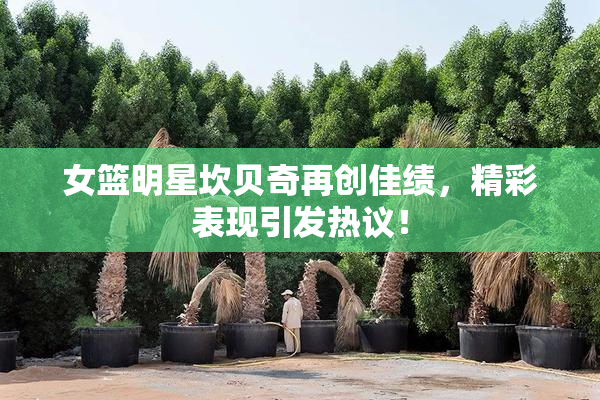 女篮明星坎贝奇再创佳绩，精彩表现引发热议！