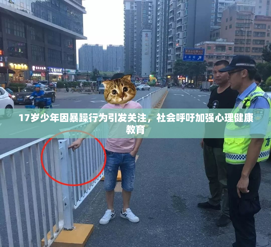 17岁少年因暴躁行为引发关注，社会呼吁加强心理健康教育