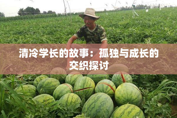 清冷学长的故事：孤独与成长的交织探讨
