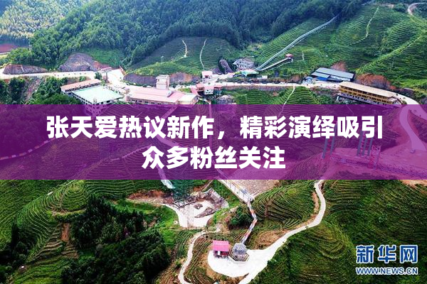 张天爱热议新作，精彩演绎吸引众多粉丝关注