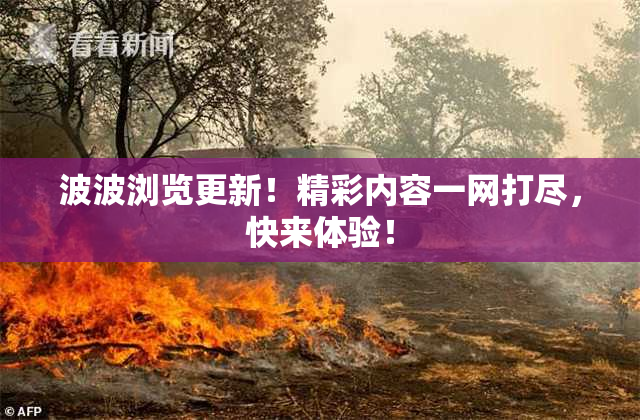 波波浏览更新！精彩内容一网打尽，快来体验！