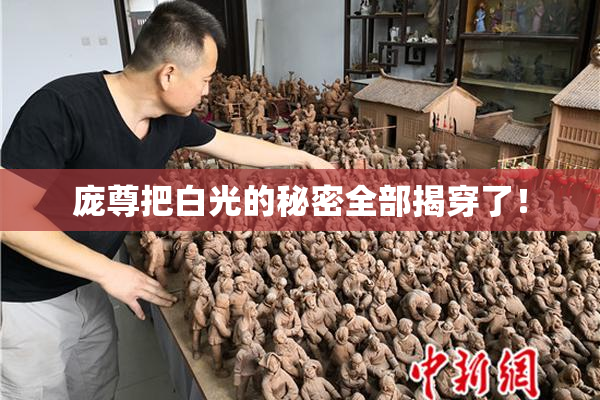 庞尊把白光的秘密全部揭穿了！