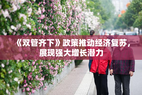 《双管齐下》政策推动经济复苏，展现强大增长潜力