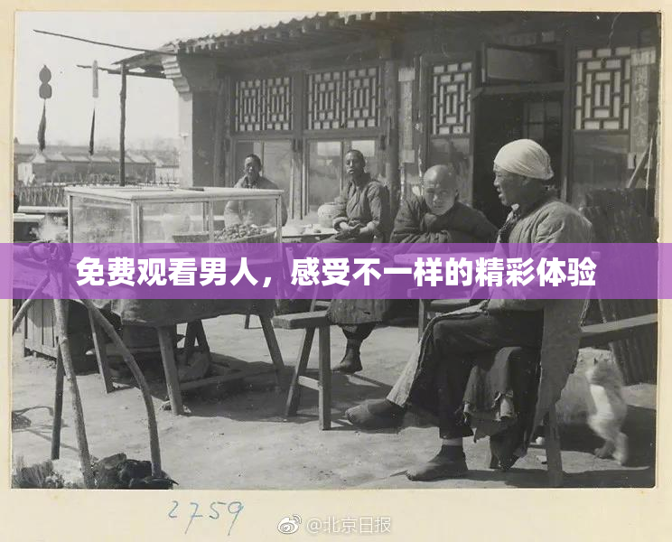 免费观看男人，感受不一样的精彩体验