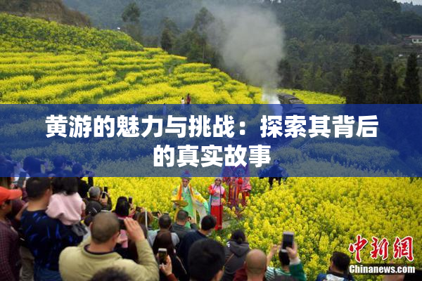 黄游的魅力与挑战：探索其背后的真实故事