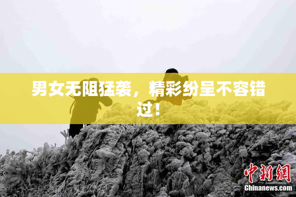 男女无阻猛袭，精彩纷呈不容错过！
