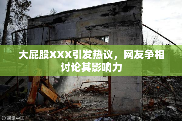 大屁股XXX引发热议，网友争相讨论其影响力