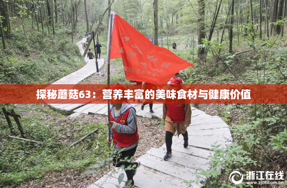 探秘蘑菇63：营养丰富的美味食材与健康价值