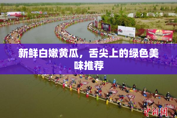 新鲜白嫩黄瓜，舌尖上的绿色美味推荐