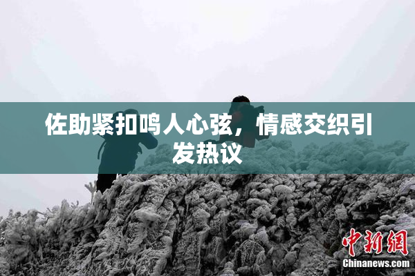 佐助紧扣鸣人心弦，情感交织引发热议