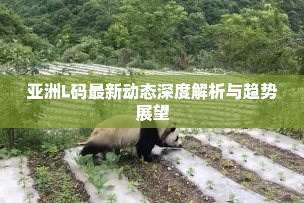 亚洲L码最新动态深度解析与趋势展望