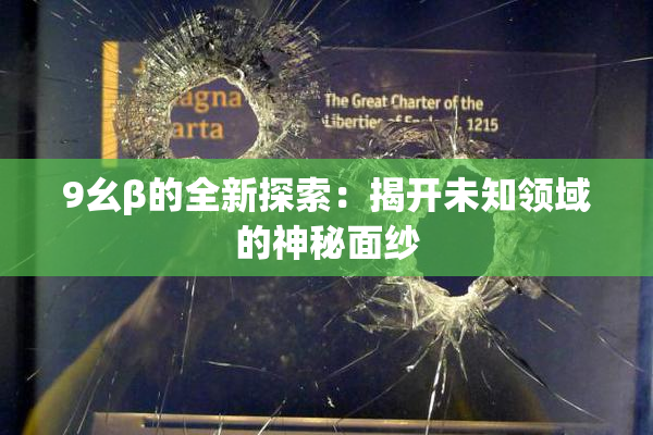 9幺β的全新探索：揭开未知领域的神秘面纱