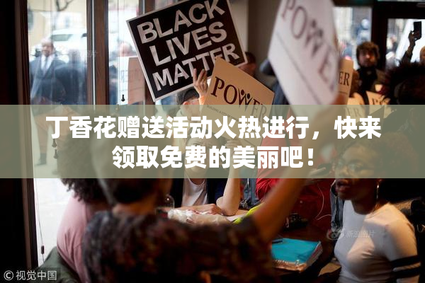 丁香花赠送活动火热进行，快来领取免费的美丽吧！