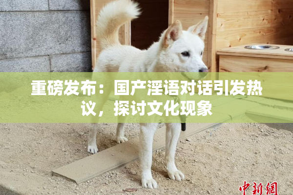 重磅发布：国产淫语对话引发热议，探讨文化现象