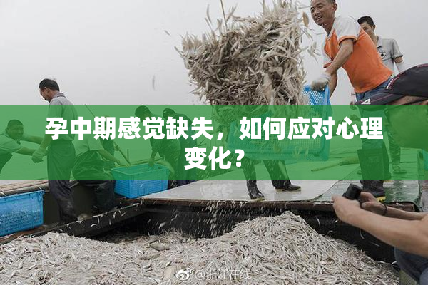 孕中期感觉缺失，如何应对心理变化？