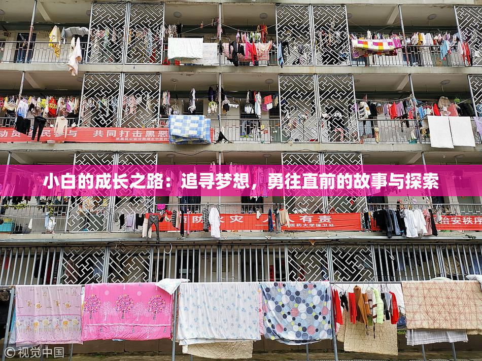 小白的成长之路：追寻梦想，勇往直前的故事与探索