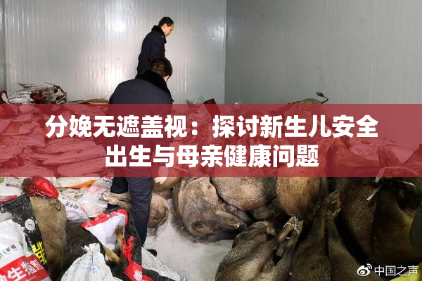 分娩无遮盖视：探讨新生儿安全出生与母亲健康问题