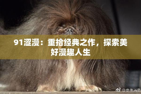 91涩漫：重拾经典之作，探索美好漫趣人生