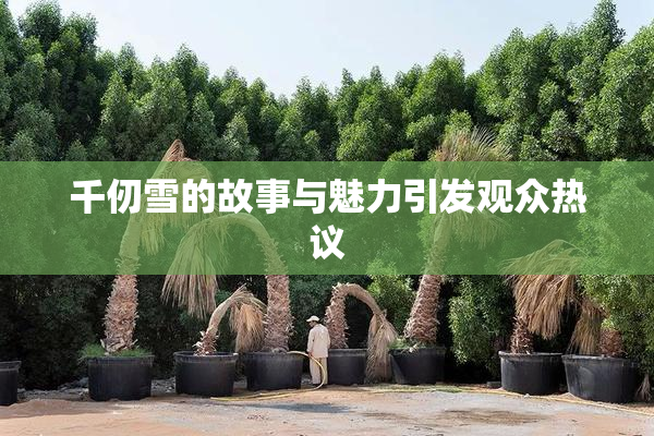 千仞雪的故事与魅力引发观众热议