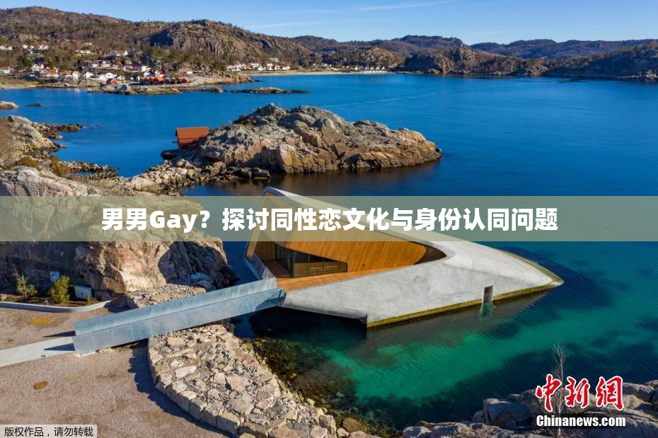男男Gay？探讨同性恋文化与身份认同问题