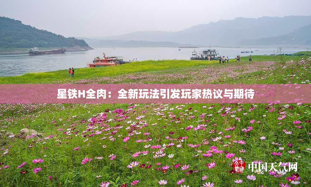 星铁H全肉：全新玩法引发玩家热议与期待