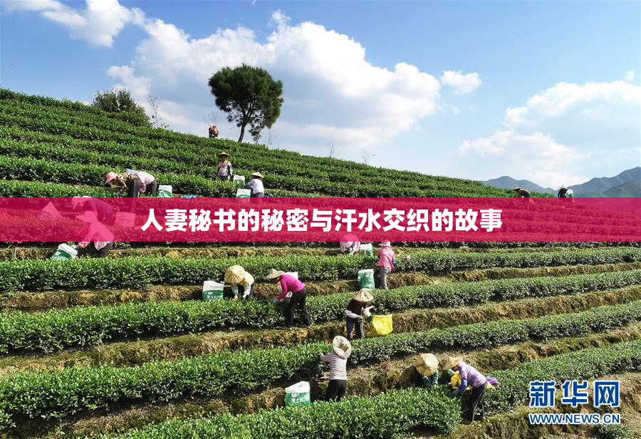人妻秘书的秘密与汗水交织的故事
