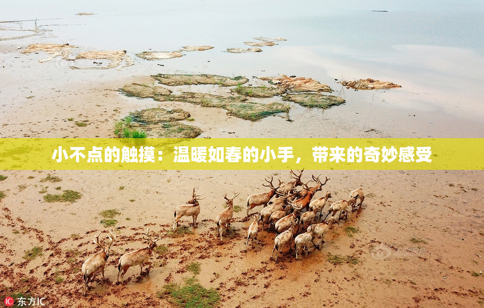 小不点的触摸：温暖如春的小手，带来的奇妙感受