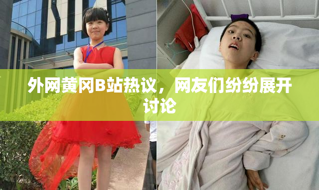 外网黄冈B站热议，网友们纷纷展开讨论