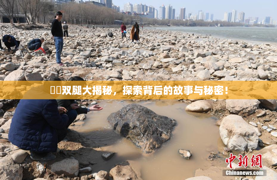 妺妺双腿大揭秘，探索背后的故事与秘密！