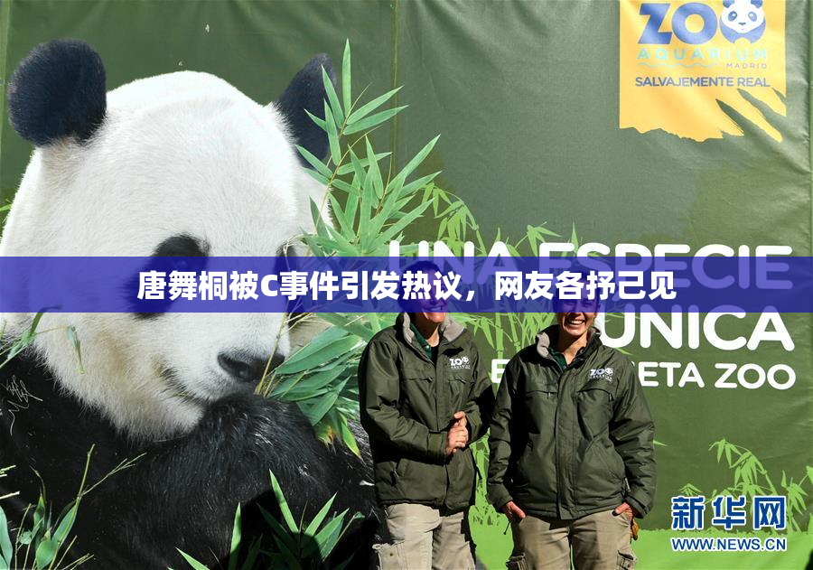 唐舞桐被C事件引发热议，网友各抒己见