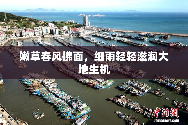 嫩草春风拂面，细雨轻轻滋润大地生机