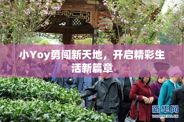 小Yoy勇闯新天地，开启精彩生活新篇章