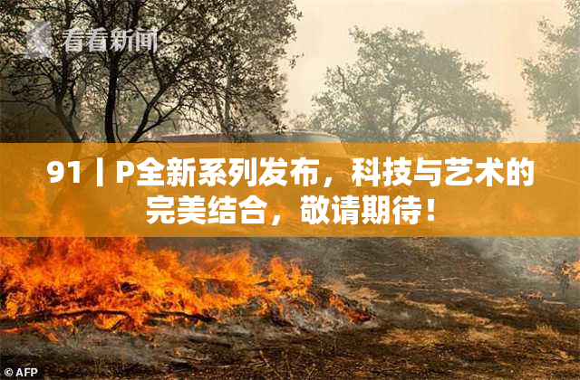 91丨P全新系列发布，科技与艺术的完美结合，敬请期待！