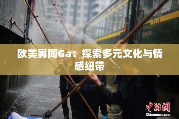 欧美男同Ga：探索多元文化与情感纽带