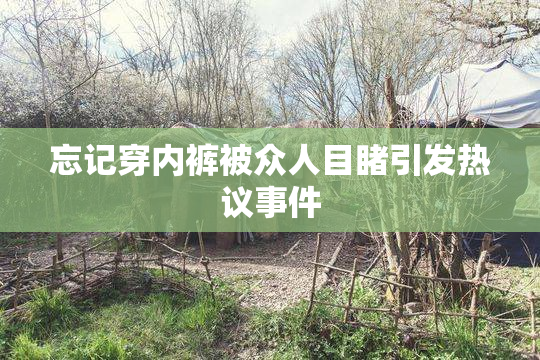 忘记穿内裤被众人目睹引发热议事件