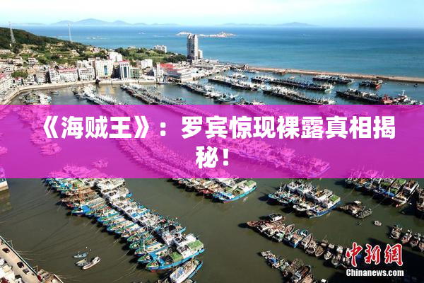 《海贼王》：罗宾惊现裸露真相揭秘！