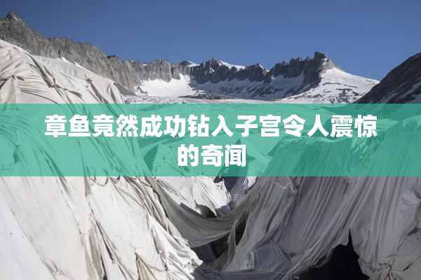 章鱼竟然成功钻入子宫令人震惊的奇闻
