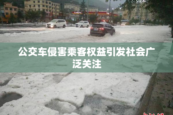 公交车侵害乘客权益引发社会广泛关注