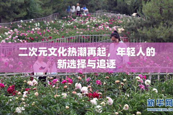 二次元文化热潮再起，年轻人的新选择与追逐